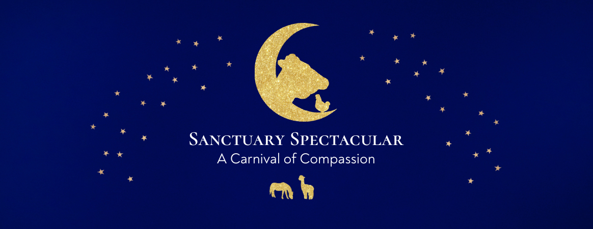 Sanctuary Spectacular